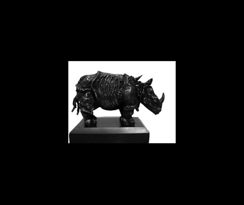Durers Rhinoceros 1515 Edition of 9 - 2008