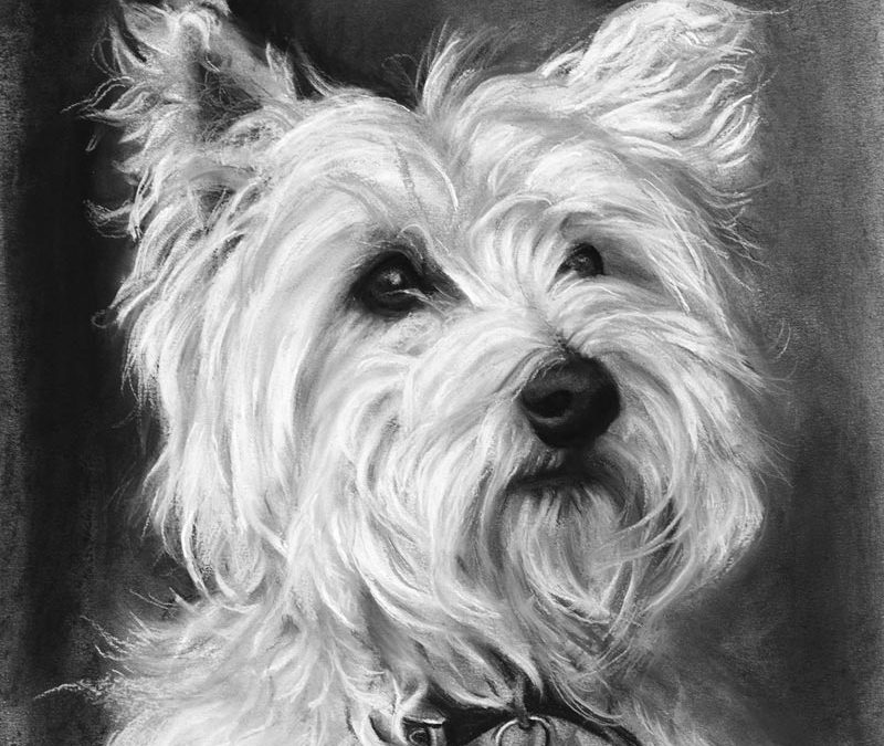 Ronnie West Highland Terrier - 2015