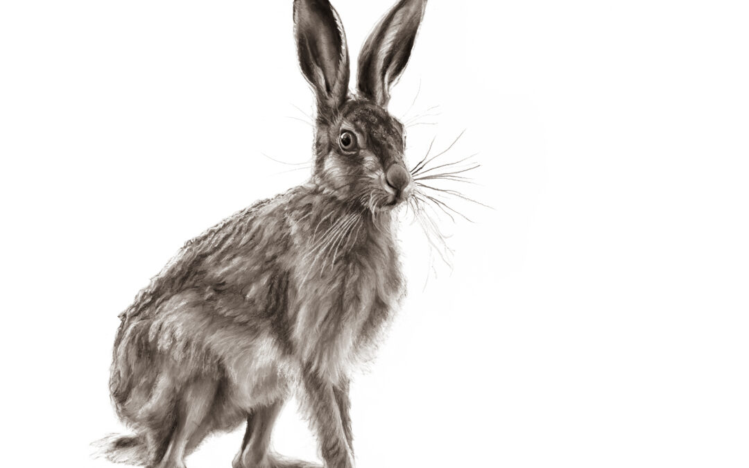 Leveret - Lucy Boydell - 42x42 inches