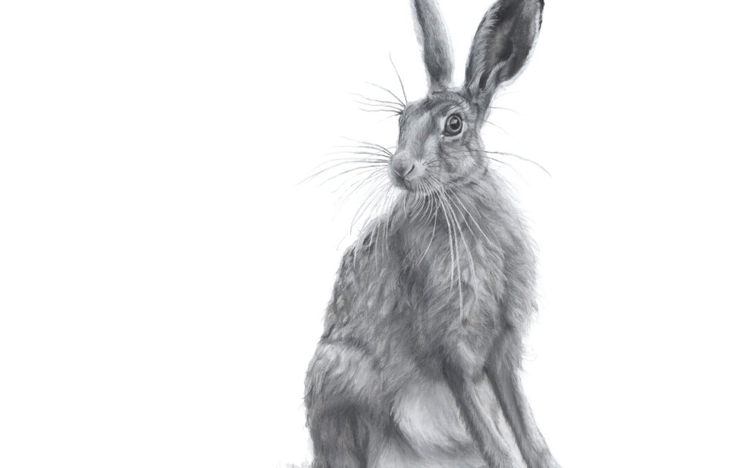 Anima Hare - Lucy Boydell - 42x42 in