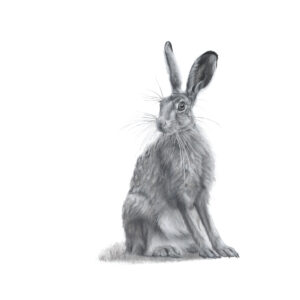 Anima Hare - Lucy Boydell - 42x42 in