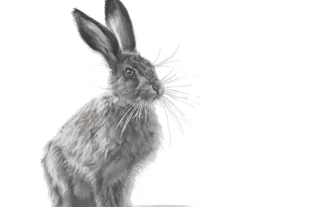 Leveret - Lucy Boydell - 30x30 inches