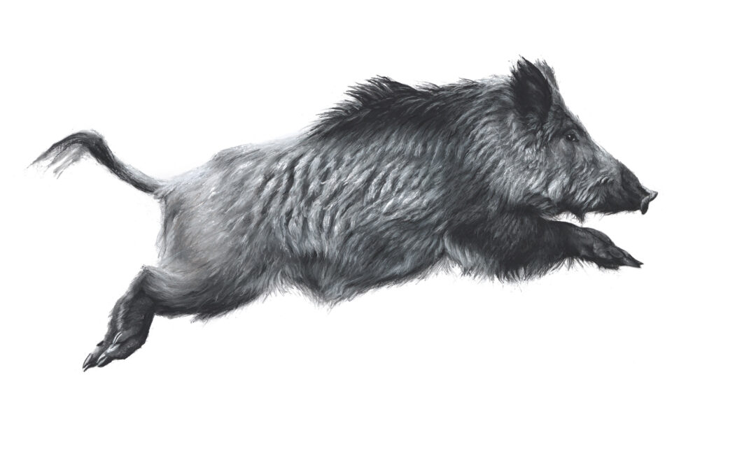 The Leaping Boar - Lucy Boydell - 100x162 cm