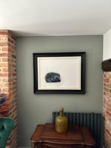 hedgehog picture on wall
