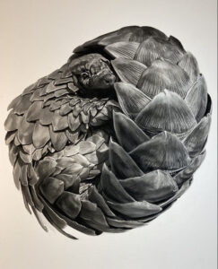 Giant Pangolin - 4 foot square