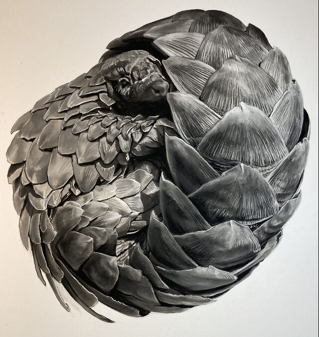 Giant Pangolin (4 foot square)