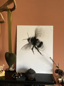 Flight of The Bumblebee in situ