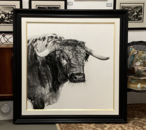 Old English Longhorn Bull framed picture