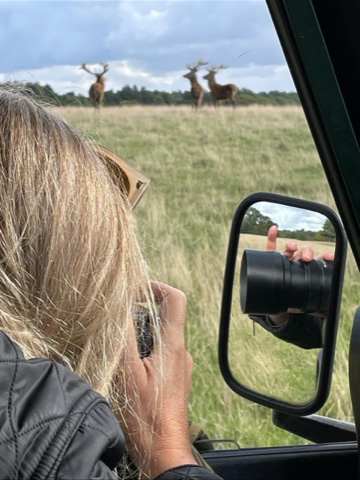 Lucy Boydell photographing deer.