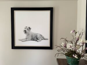Dog - framed