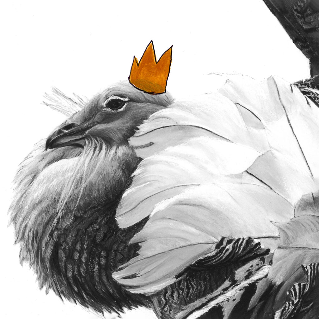 Bird Christmas Card - Lucy Boydell