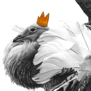 Bird Christmas Card - Lucy Boydell