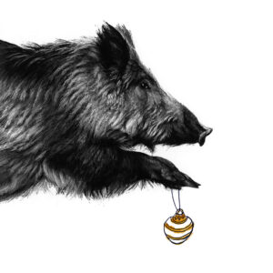 Boar Christmas Card - Lucy Boydell