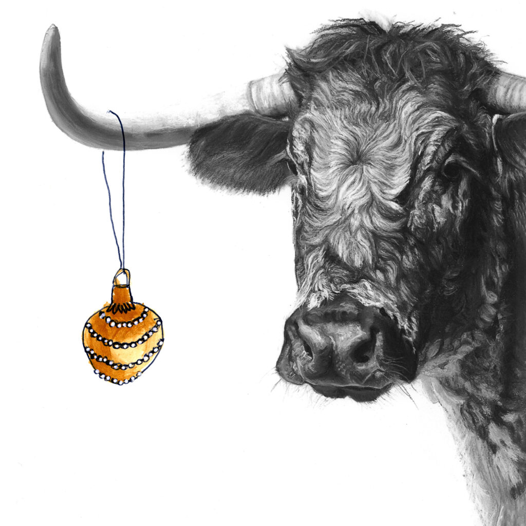 Bull 2 Christmas Card - Lucy Boydell
