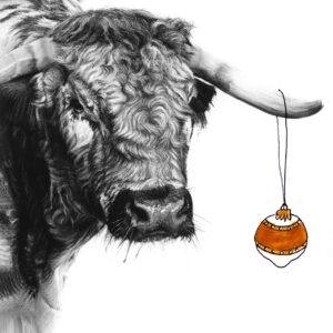 Bull Christmas Card - Lucy Boydell