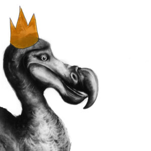 Dodo Christmas Card - Lucy Boydell