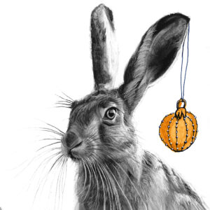 Hare 2 Christmas Card - Lucy Boydell