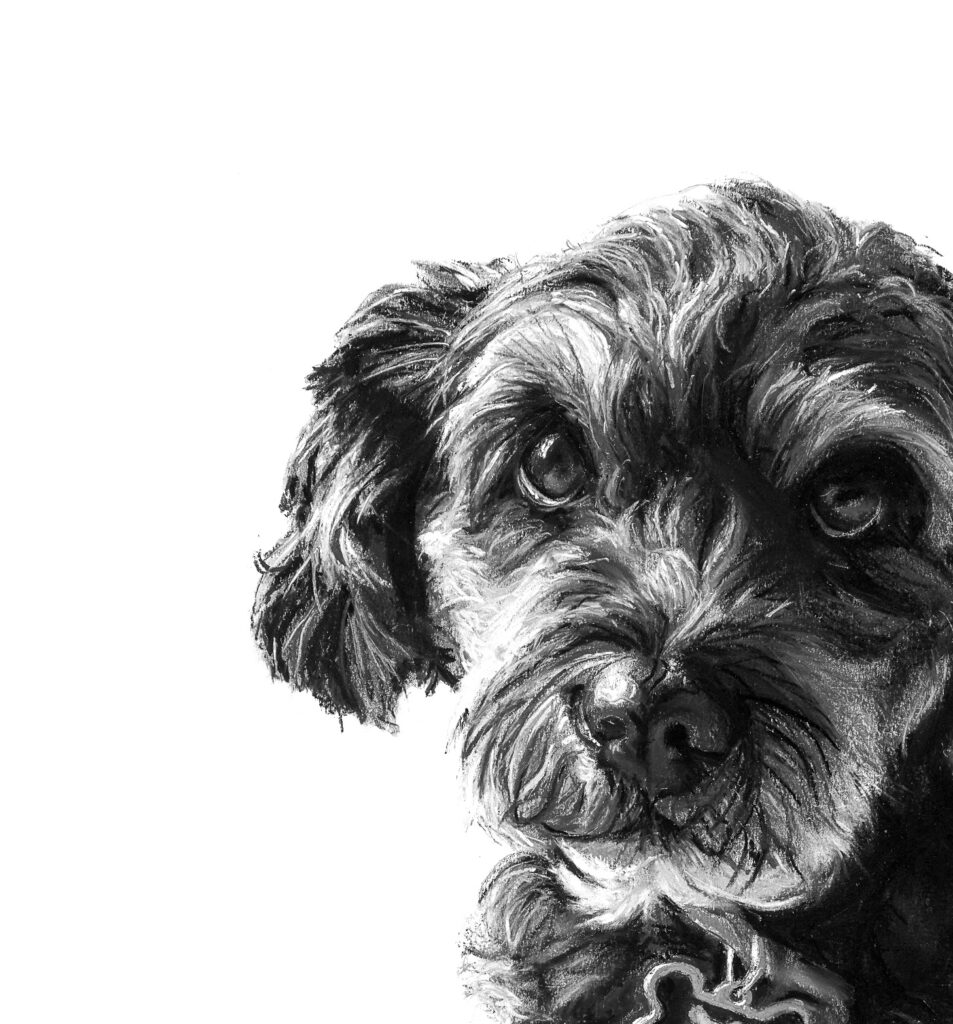 Monty