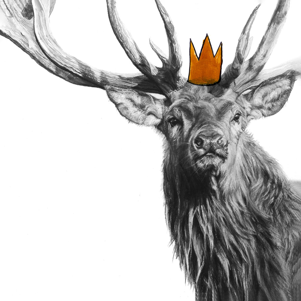 Stag 2 Christmas Card - Lucy Boydell