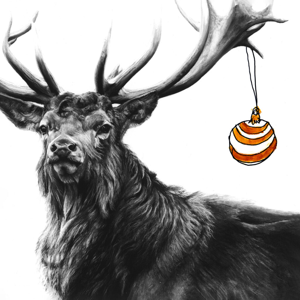 Stag Christmas Card - Lucy Boydell