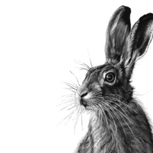 The Trickster detail L Boydell