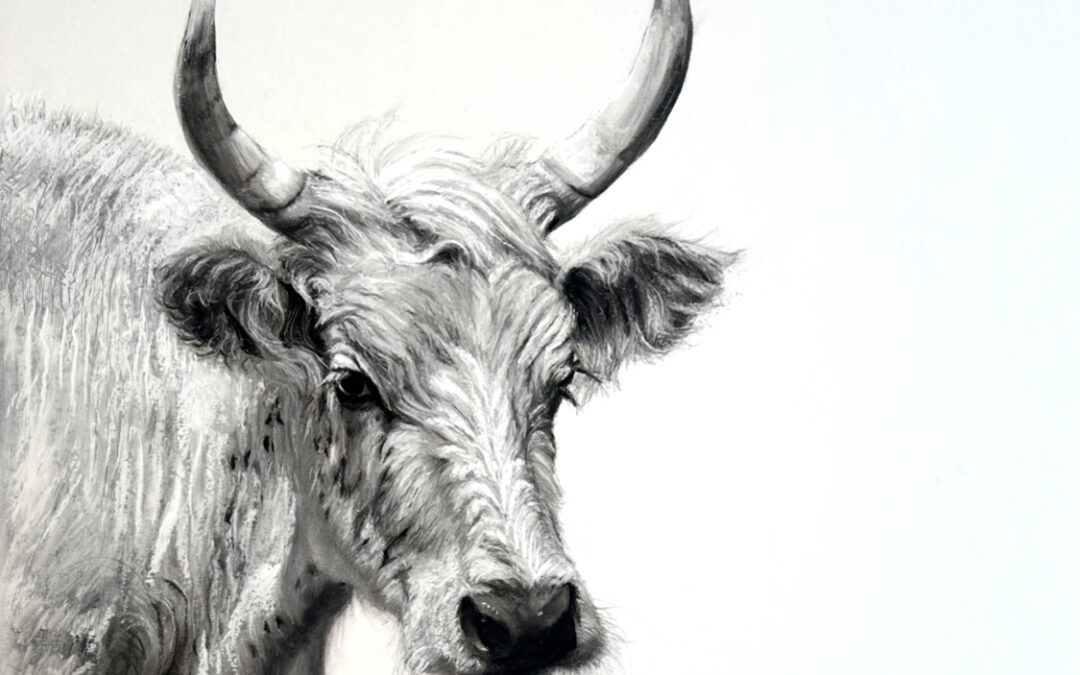 Chillingham Cow – Lucy Boydell