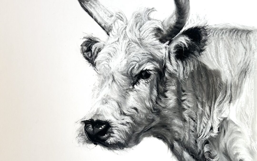 Chillingham Bull – Lucy Boydell