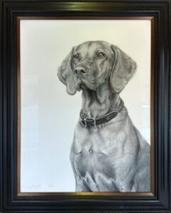 Milo flat coat Viszla