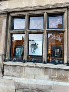 Artwork in window