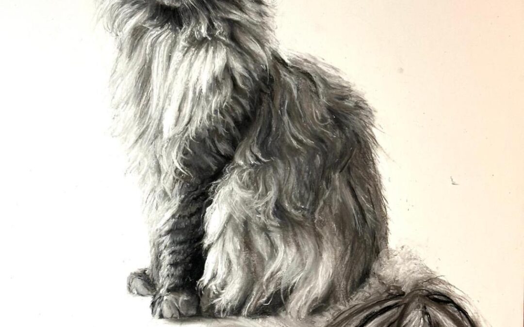 Delilah The Maine Coon