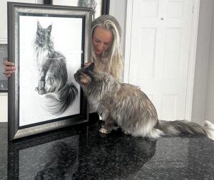 Maine Coon in situ