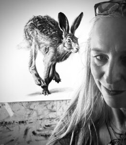 Spring Hare in situ
