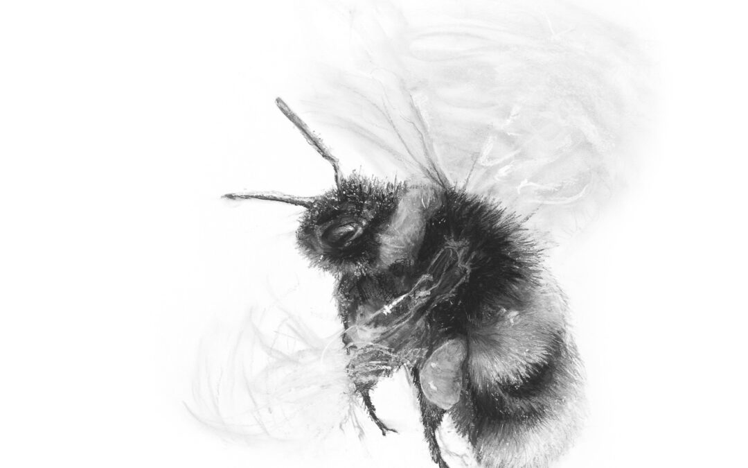 ….and is there honey still for tea?