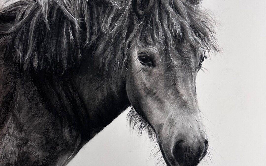 Exmoor of Wild Ken Hill – Lucy Boydell