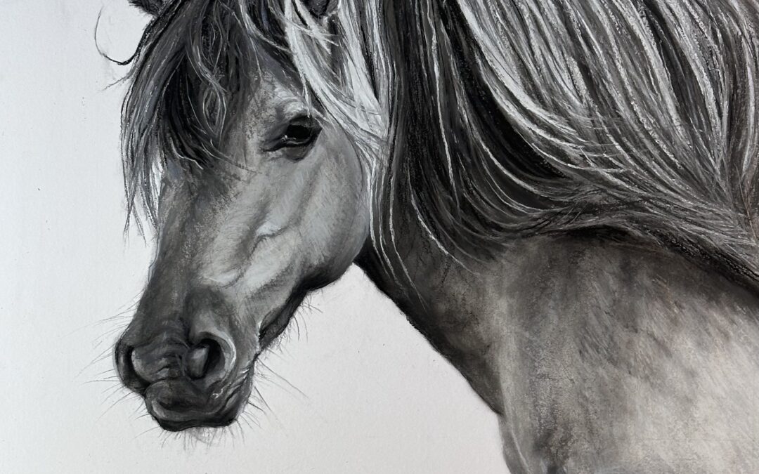 Konik of Holkham Estate – Lucy Boydell